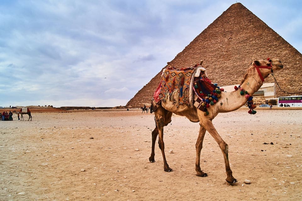 Z Kairu: Zwiedzanie Piramidy Dorożkami.