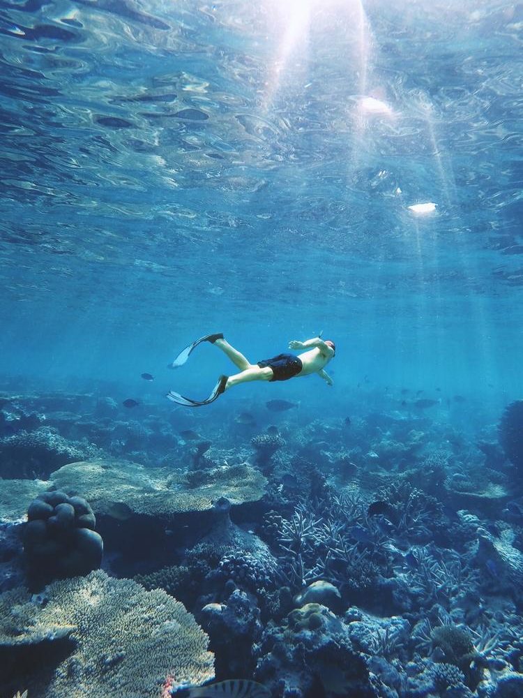 Trivaeg Egipt:Z Marsa Alam: Pakiet jednodniowego Nurkowania.