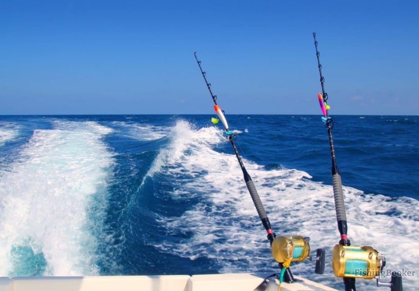 Fishing, Private fishing, Snorkling with fishing exclusive with Trivaeg