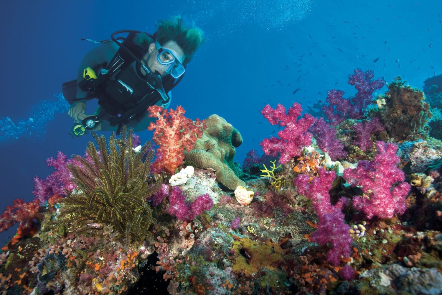 Trivaeg Egipt :z Marsa Alam: nurkowanie z rurką i wycieczka na plażę do Sharm El Luli.